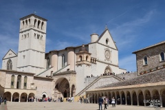 Assisi-51