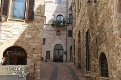 Assisi-65