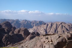 monte_sinai46