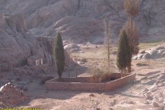 monte_sinai47