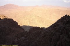 monte_sinai49