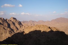 monte_sinai50