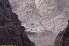 monte_sinai52