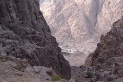 monte_sinai53