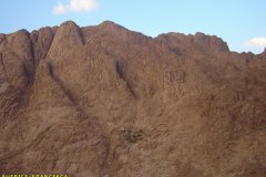 monte_sinai54