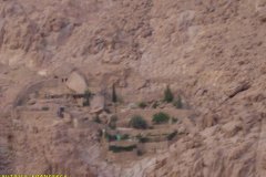 monte_sinai55