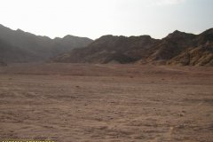 monte_sinai56