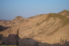 monte_sinai58