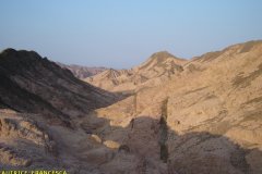 monte_sinai59