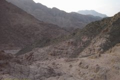 monte_sinai60