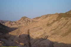 monte_sinai61