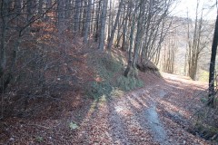 sentiero-monte-zatta-03