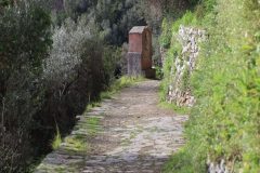 sentiero-monterosso-santuario-di-soviore-vernazza-59
