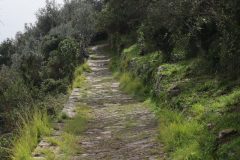 sentiero-monterosso-santuario-di-soviore-vernazza-61