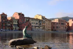 Sestri Levante - Pescatore Baia del Silenzio 4 maggio 2023 3.jpg