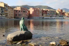 Sestri Levante - Pescatore Baia del Silenzio 4 maggio 2023 5.jpg