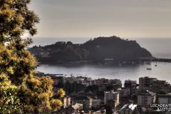 Sestri Levante - mimose con sestri.jpg