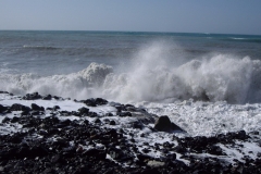 sestri_levante011