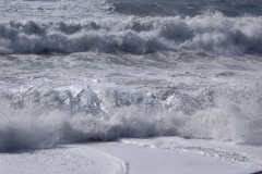 sestri_levante037