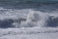 sestri_levante041