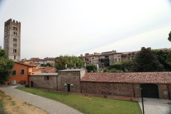Lucca2-16