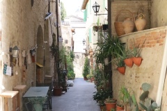 Montefalco-11