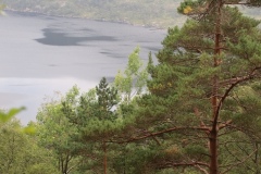 Geiranger-Preikestolen-03