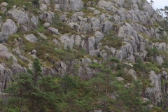 Geiranger-Preikestolen-08