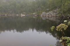 Geiranger-Preikestolen-17