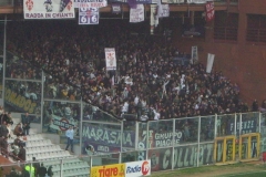 0607_fiorentina11.JPG