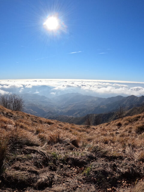 La spettacolare vista dalla cima del Monte Zatta