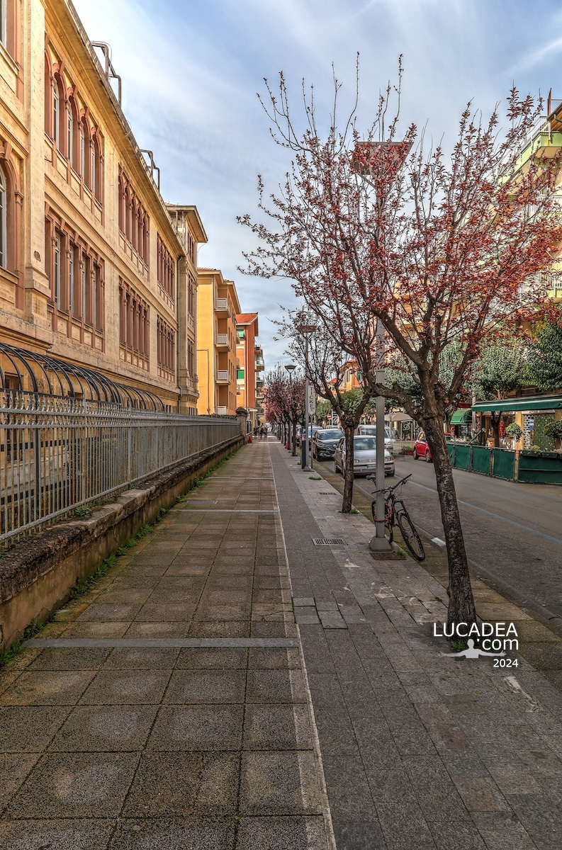 Il centrale Viale Dante a Sestri Levante