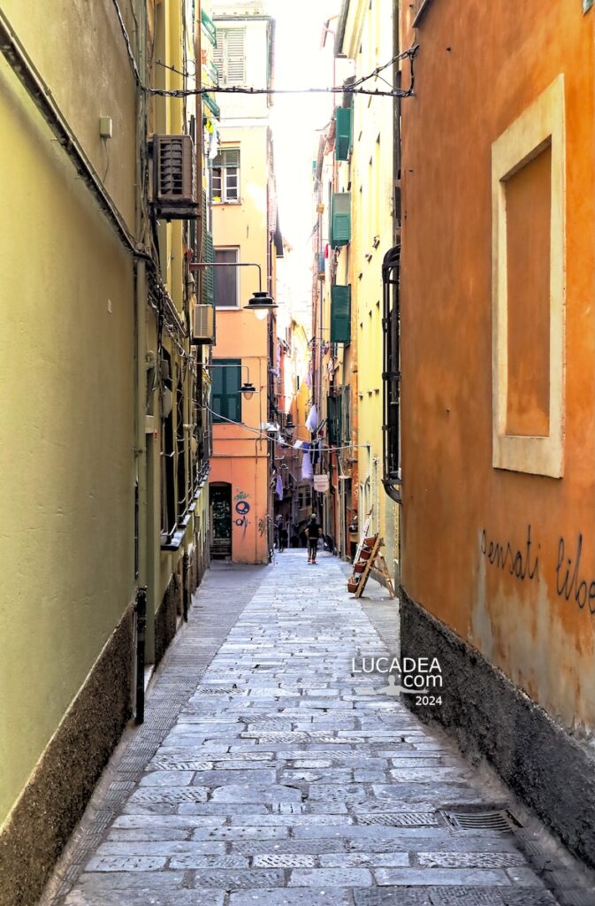 Vico Salvaghi nel centro storico di Genova