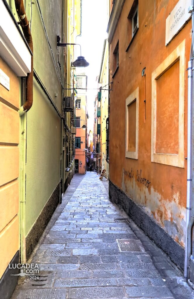 Vico Salvaghi nel centro storico di Genova