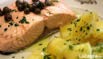 salmone bollito