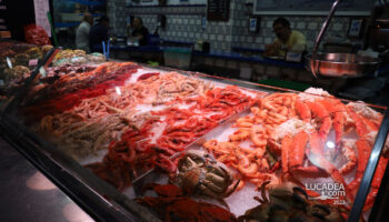 Un banco del pesce al mercato di Tenerife