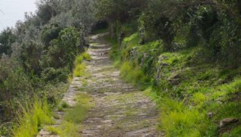 Il sentiero che da Monterosso va a Vernazza passando dai monti