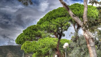 La passeggiata a mare di Sestri Levante