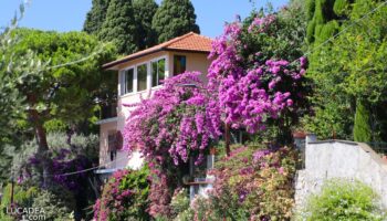 Una bella villa immarsa nella bougainvillea a Camogli